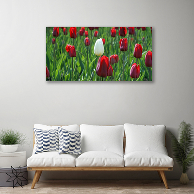 Cuadro en lienzo canvas Tulipanes flores naturaleza