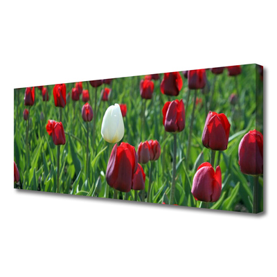 Cuadro en lienzo canvas Tulipanes flores naturaleza