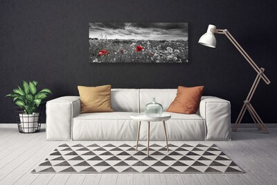 Cuadro en lienzo canvas Prado flores paisaje