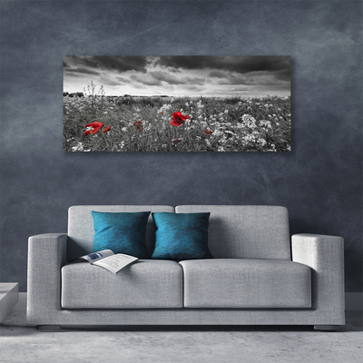 Cuadro en lienzo canvas Prado flores paisaje