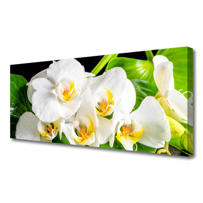 Cuadro en lienzo canvas Orquídea flores naturaleza