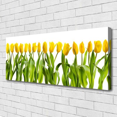 Cuadro en lienzo canvas Tulipanes flores naturaleza