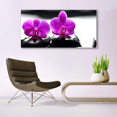Cuadro en lienzo canvas Flores orquídea naturaleza
