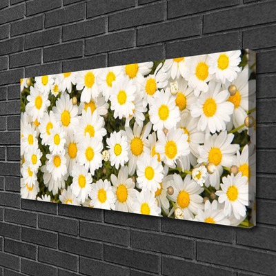 Cuadro en lienzo canvas Chiribitas flores