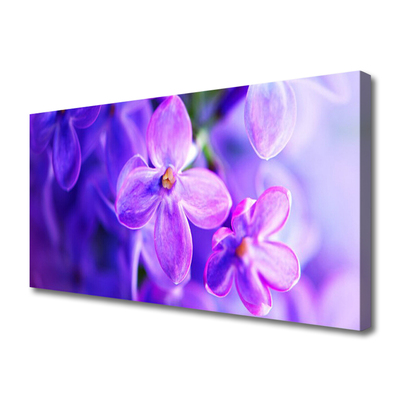 Cuadro en lienzo canvas Flores moradas naturaleza