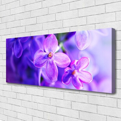 Cuadro en lienzo canvas Flores moradas naturaleza