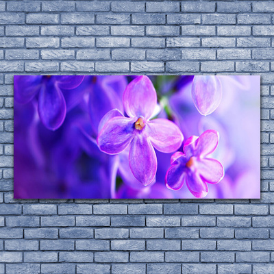 Cuadro en lienzo canvas Flores moradas naturaleza