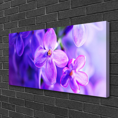 Cuadro en lienzo canvas Flores moradas naturaleza