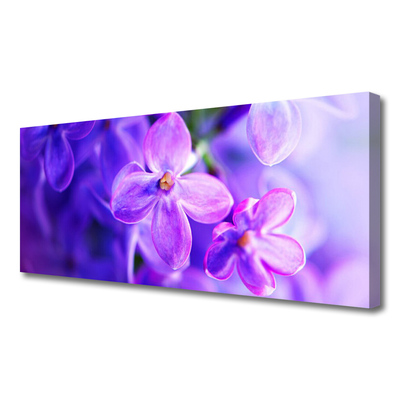 Cuadro en lienzo canvas Flores moradas naturaleza