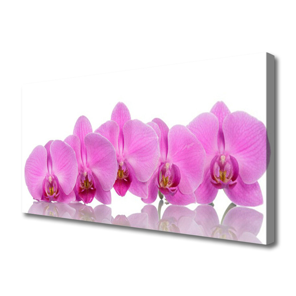 Cuadro en lienzo canvas Orquídea rosa flores