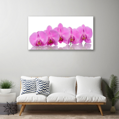 Cuadro en lienzo canvas Orquídea rosa flores