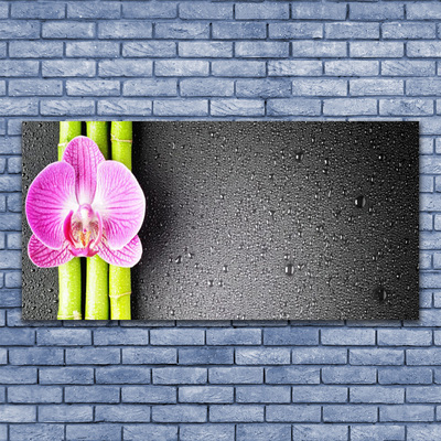 Cuadro en lienzo canvas Bambú flores orquídea