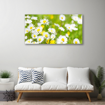 Cuadro en lienzo canvas Chiribita flor planta