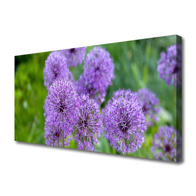 Cuadro en lienzo canvas Flores moradas prado