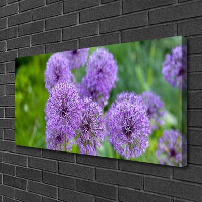 Cuadro en lienzo canvas Flores moradas prado