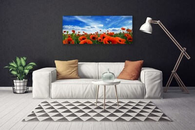 Cuadro en lienzo canvas Prado amapolas flores