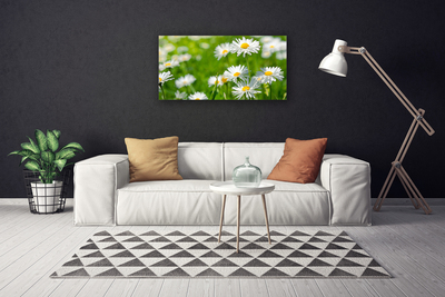 Cuadro en lienzo canvas Chiribita flor planta
