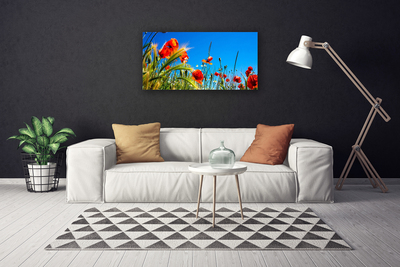 Cuadro en lienzo canvas Flores amapolas campo de hierba