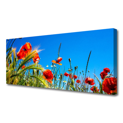 Cuadro en lienzo canvas Flores amapolas campo de hierba