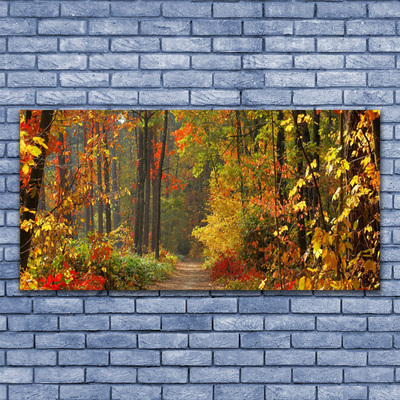 Cuadro en lienzo canvas Bosque naturaleza otoño