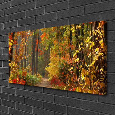 Cuadro en lienzo canvas Bosque naturaleza otoño
