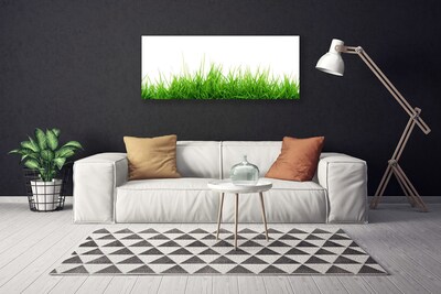 Cuadro en lienzo canvas Hierba naturaleza planta