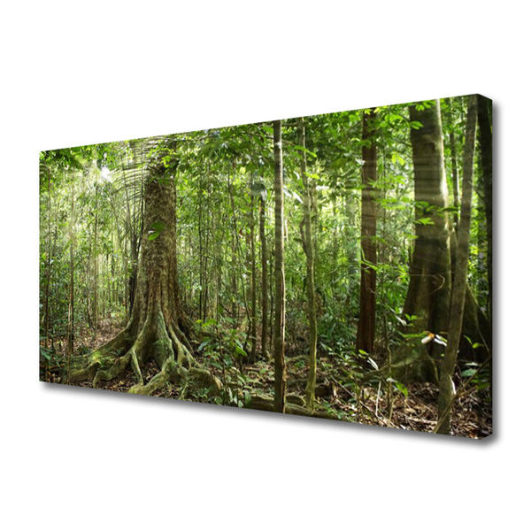 Cuadro en lienzo canvas Bosque naturaleza jungla árboles