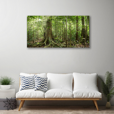 Cuadro en lienzo canvas Bosque naturaleza jungla árboles