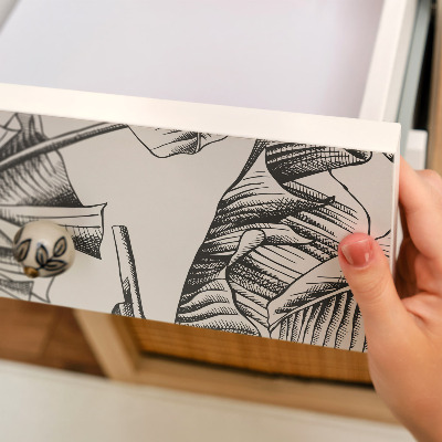 Papel para forrar mueble Hojas de plátano