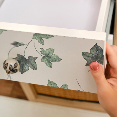 Vinilo adhesivo para mueble Hojas de hiedra