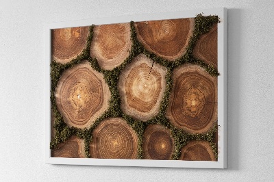 Cuadro musgo preservado Sección de tronco de árbol