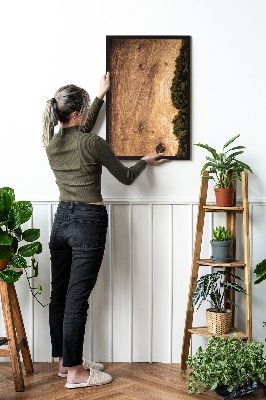  Arte de pared de musgo preservado real con madera