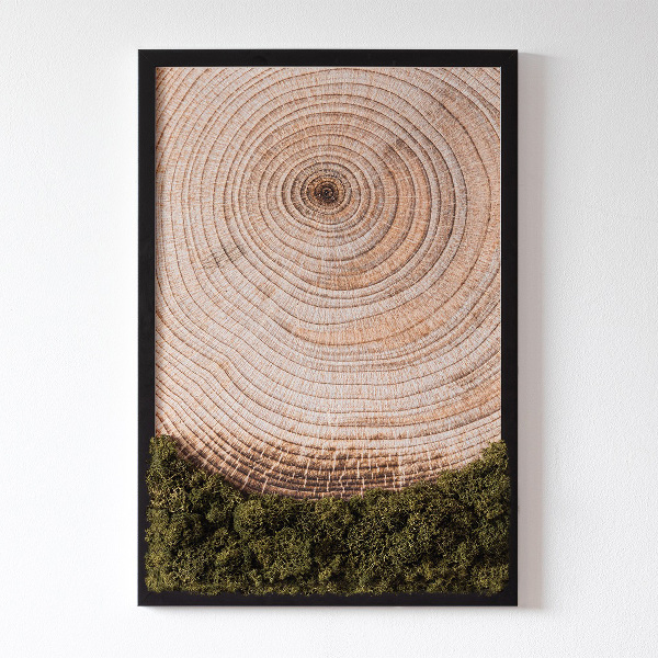 Cuadro de musgo preservado Grano de madera