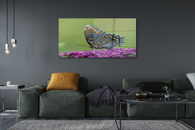 Cuadro de cristal Mariposa de colores en las flores