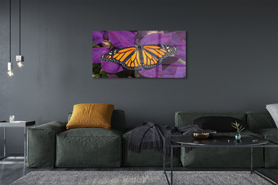 Cuadro de cristal Flores de colores mariposa