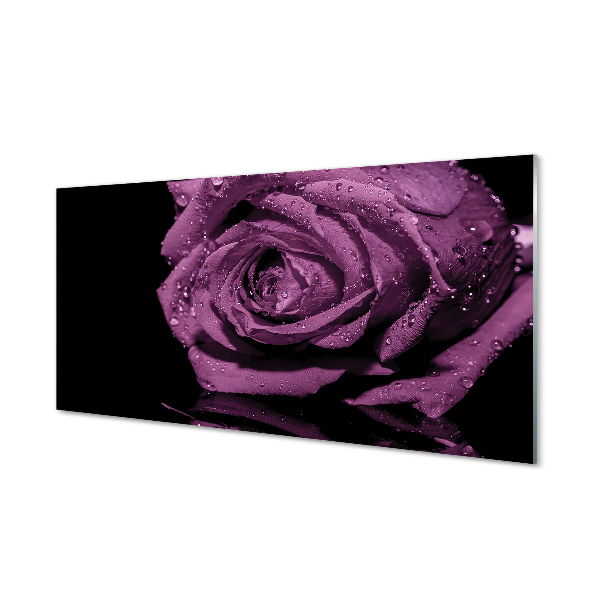 Cuadro de cristal Rosa purpura