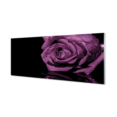 Cuadro de cristal Rosa purpura