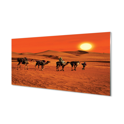 Cuadro de cristal Camellos sol gente del desierto