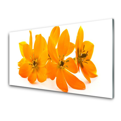 Cuadro de vidrio Naranja planta flores