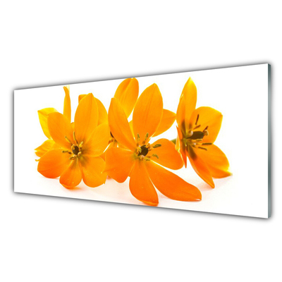 Cuadro de vidrio Naranja planta flores