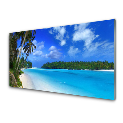Cuadro de vidrio Playa palmeras mar