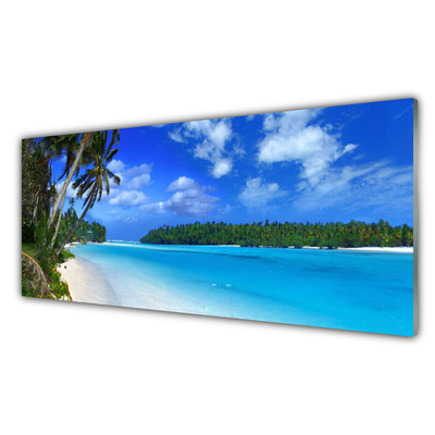 Cuadro de vidrio Playa palmeras mar