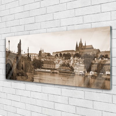 Cuadro de vidrio Praga puente paisaje
