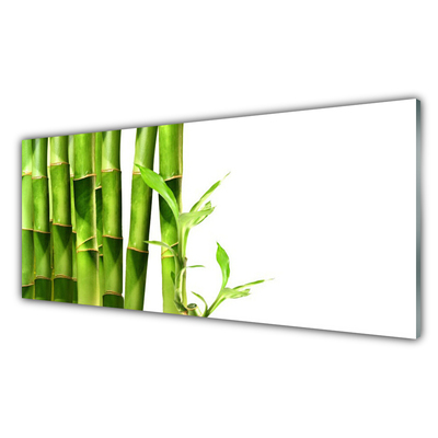 Cuadro de vidrio Bambú planta