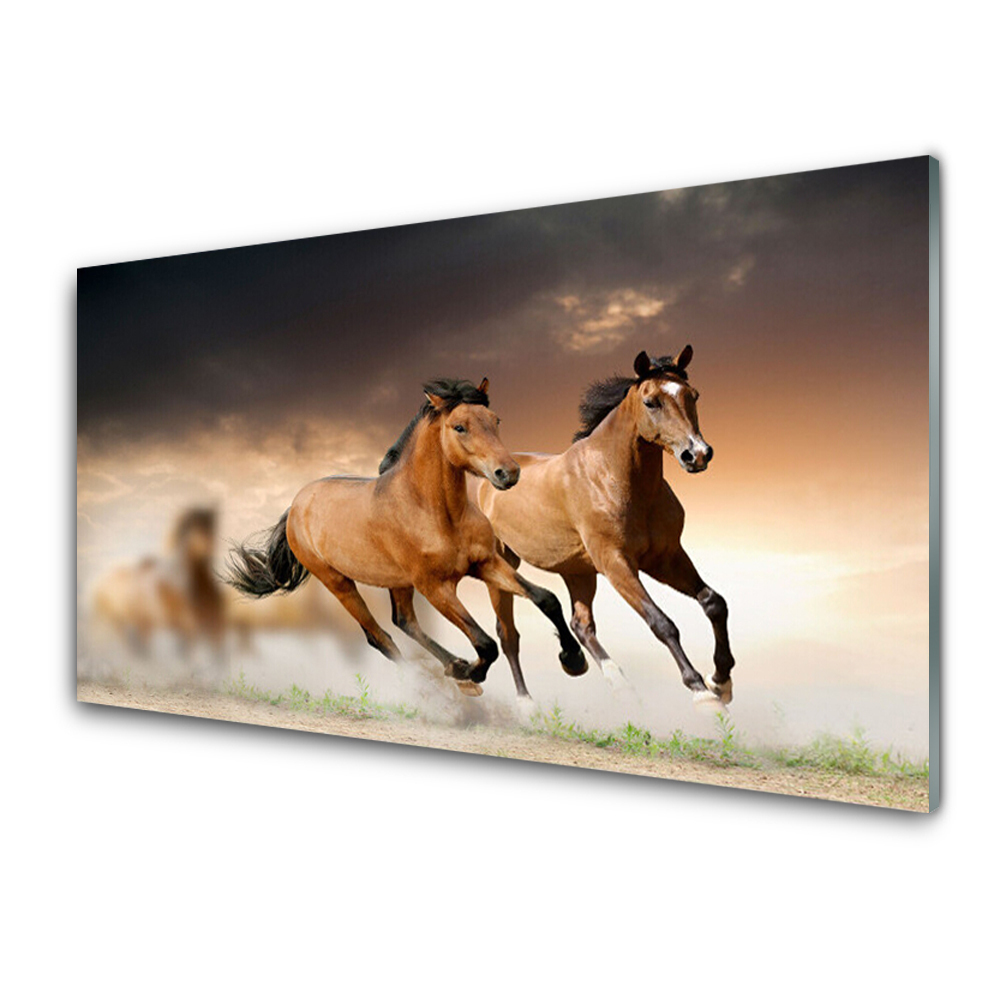 Cuadro de vidrio Caballos animales