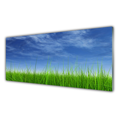 Cuadro de vidrio Cielo hierba naturaleza planta