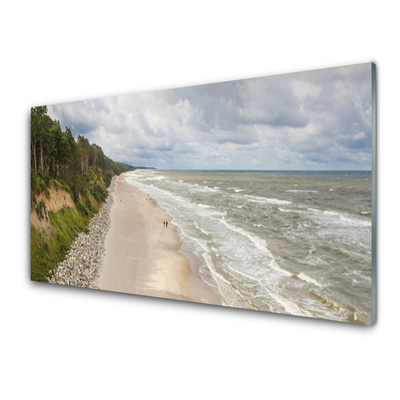 Cuadro de vidrio Playa mar árbol naturaleza