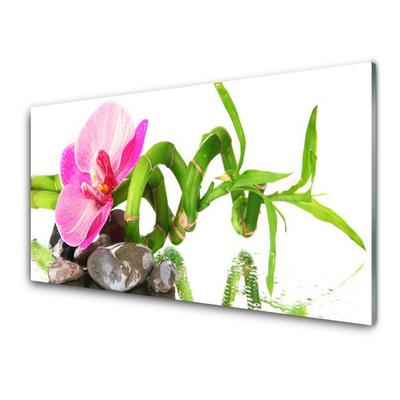 Cuadro de vidrio Flor planta naturaleza