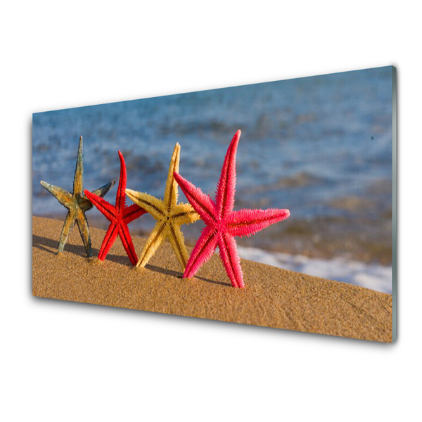 Cuadro de vidrio Playa estrella de mar arte