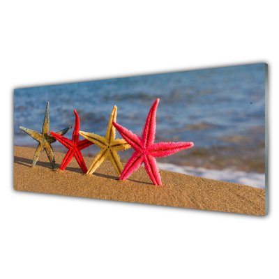 Cuadro de vidrio Playa estrella de mar arte